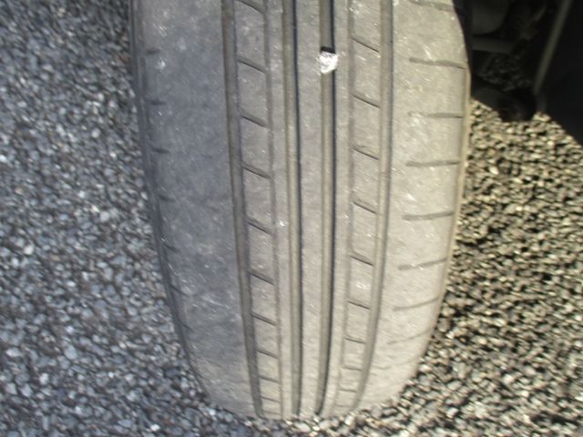 BELTA