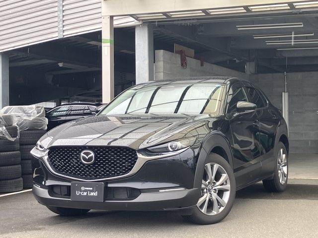 CX-30