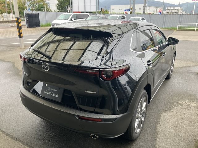 CX-30
