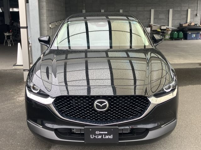 CX-30