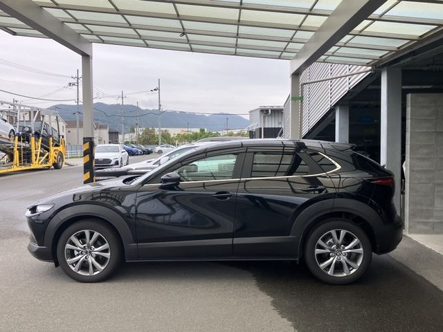 CX-30