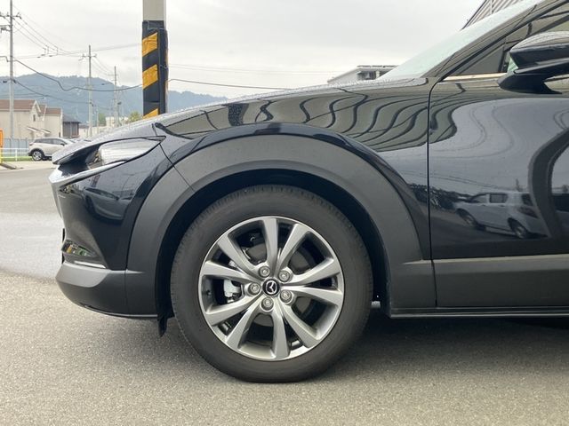 CX-30