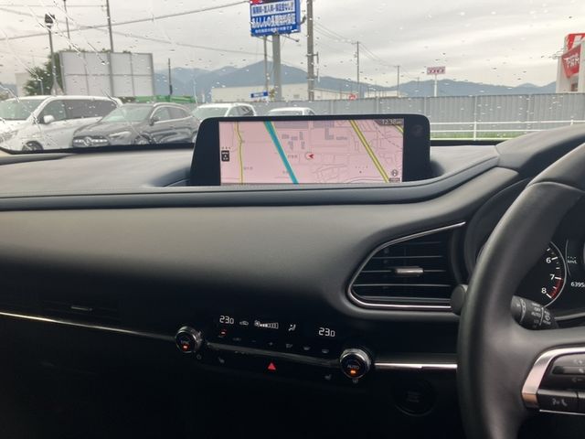CX-30