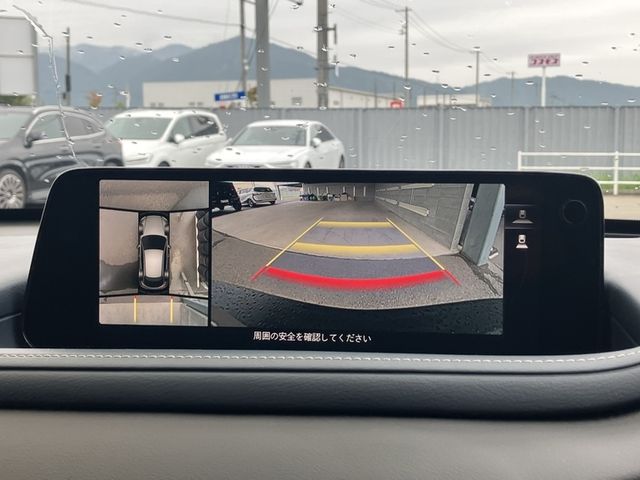 CX-30