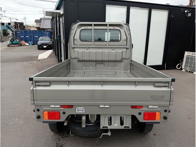 CARRY truck