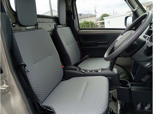 CARRY truck