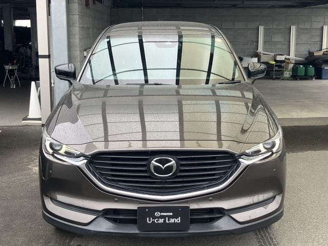 CX-8