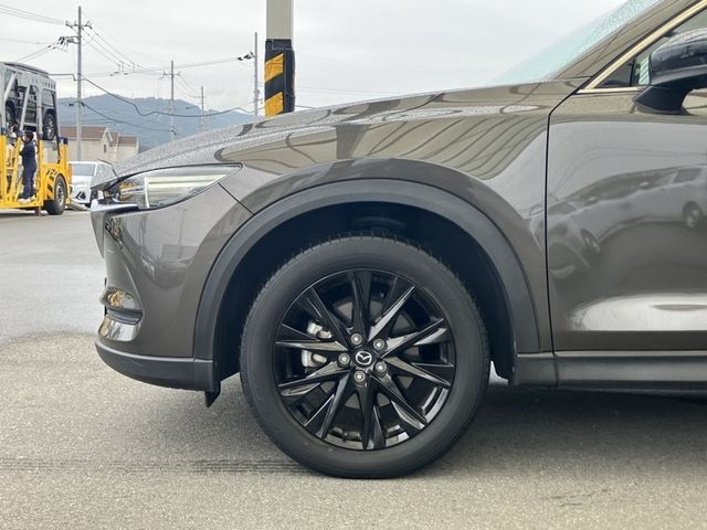 CX-8