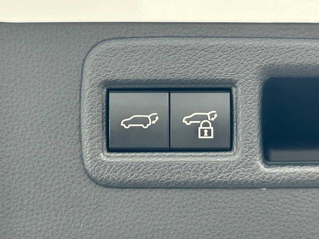 HARRIER PHEV