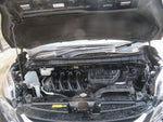 SERENA  S-HYBRID