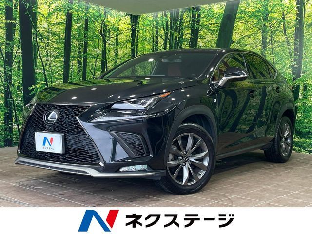 LEXUS NX300