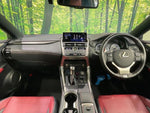 LEXUS NX300