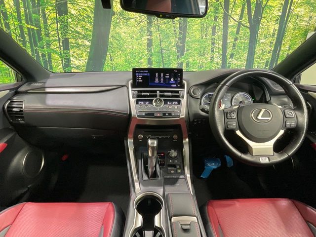 LEXUS NX300