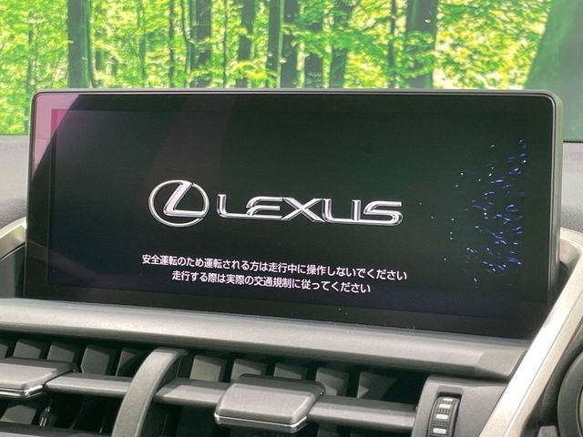 LEXUS NX300