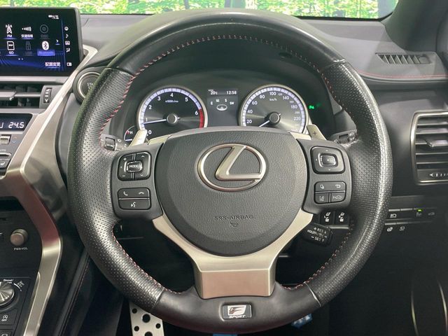 LEXUS NX300