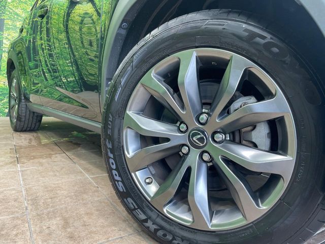 LEXUS NX300
