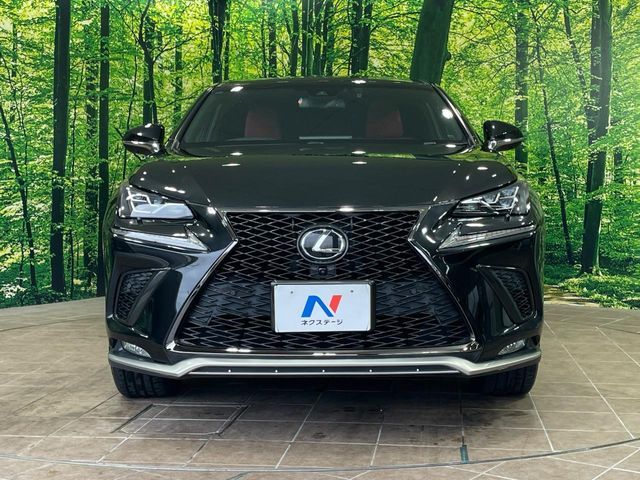 LEXUS NX300