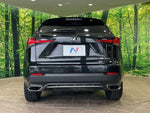 LEXUS NX300