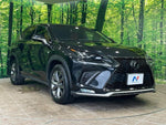 LEXUS NX300