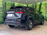 LEXUS NX300