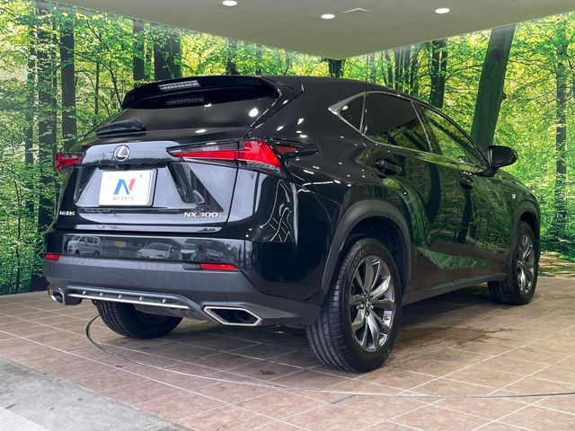 LEXUS NX300