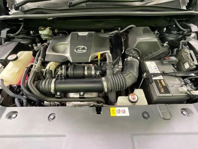 LEXUS NX300