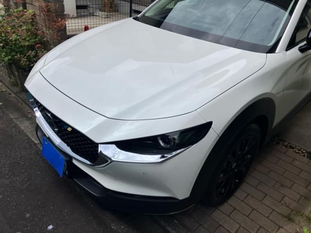 CX-30