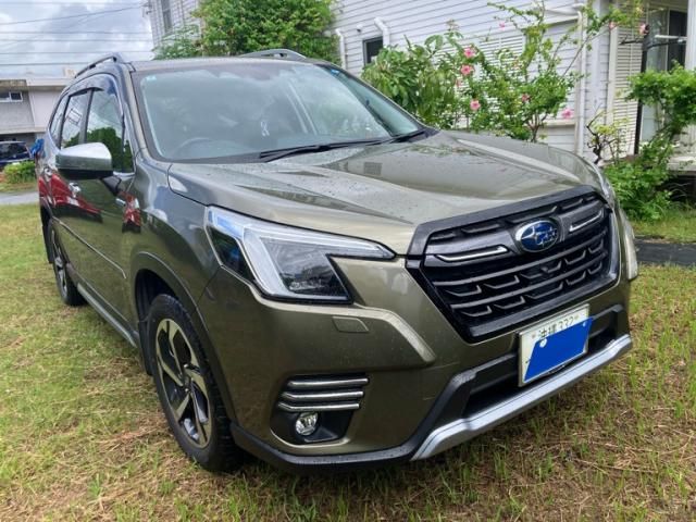 FORESTER