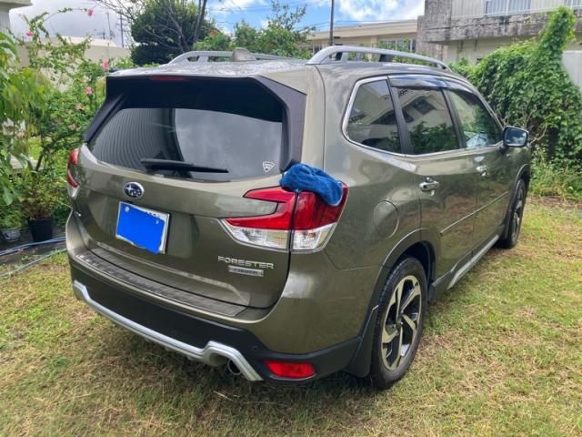 FORESTER