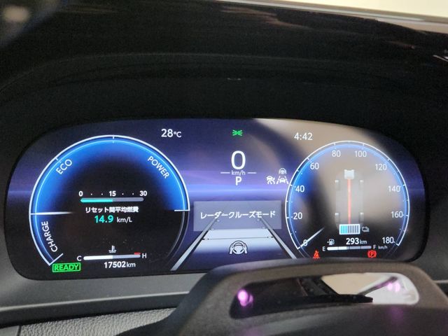 CROWN SPORT