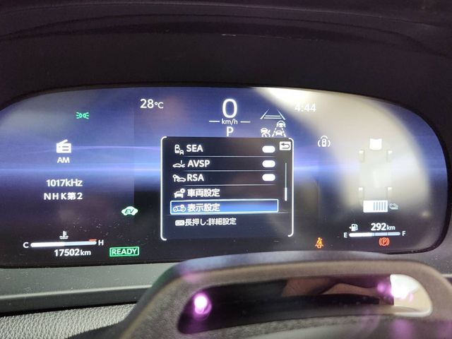 CROWN SPORT