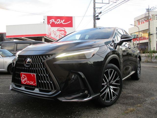 LEXUS NX350h AWD