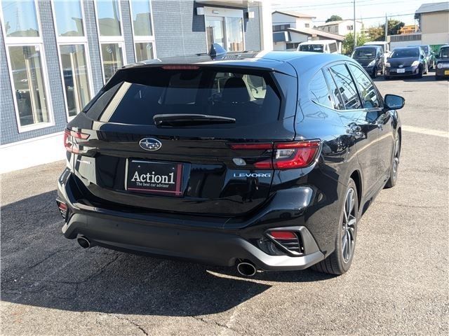LEVORG