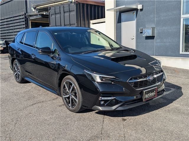 LEVORG