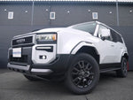 LANDCRUISER 250