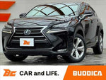 LEXUS NX300h