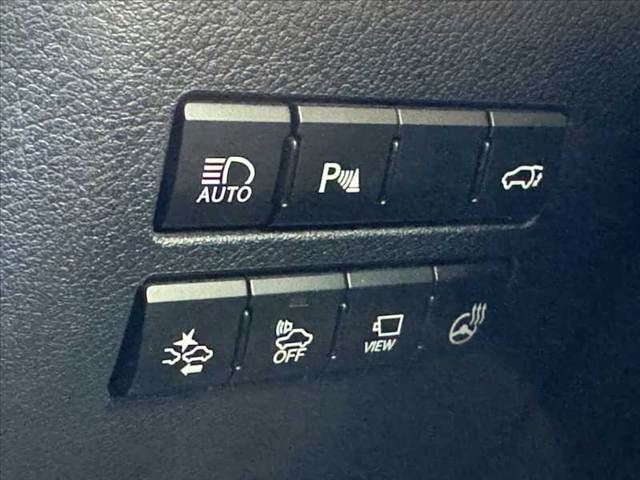 LEXUS NX300h