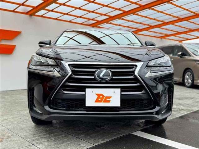LEXUS NX300h