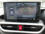 RAIZE HYBRID