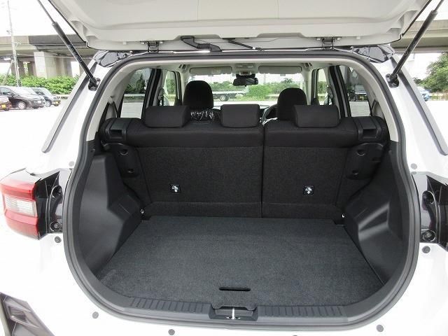 RAIZE HYBRID