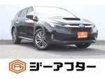 LEVORG LAYBACK