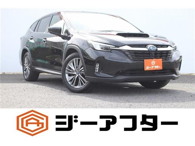 LEVORG LAYBACK