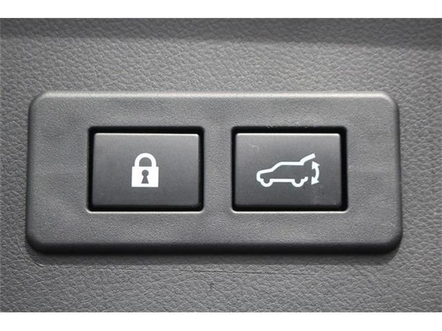 LEVORG LAYBACK