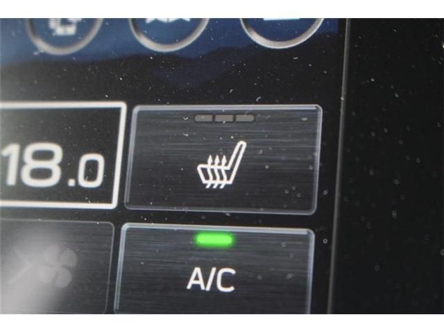 LEVORG LAYBACK
