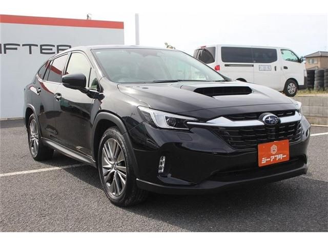 LEVORG LAYBACK