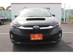 LEVORG LAYBACK