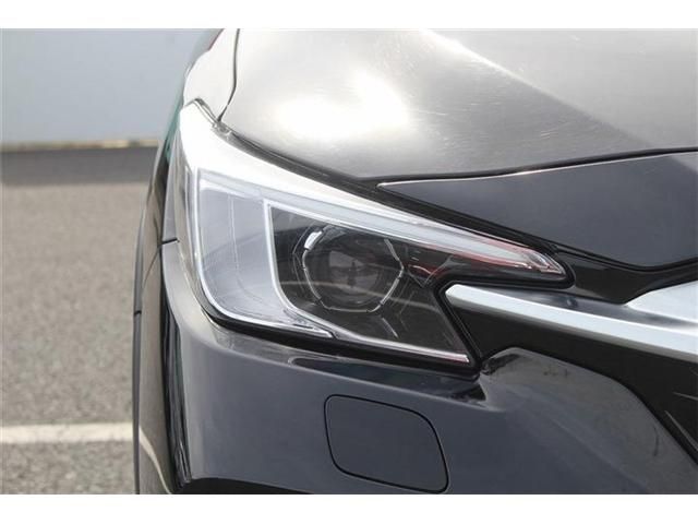 LEVORG LAYBACK