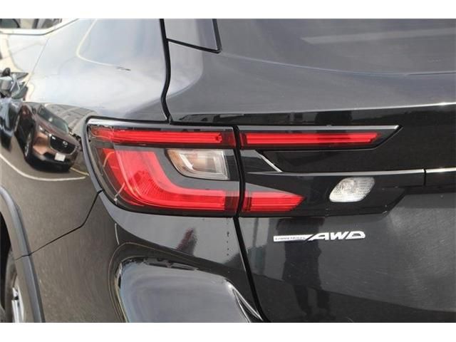 LEVORG LAYBACK
