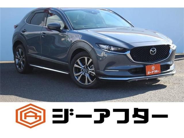 CX-30