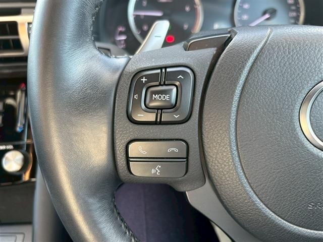 LEXUS IS300h